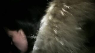 PublicPorn Doire fucks him for his casino winnings