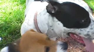 Hot - Ass Parade Trip Down Memory Lane With PAWG Charlotte Stokely