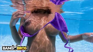 Hot - Brown Bunnies Compilation Featuring Sarai Minx, Numi Zarah, August Skye And More!