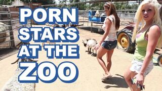 Hot - Sexy Pornstars Invade Famous Zoo & Fuck Zookeeper