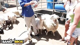 Hot - Sexy Pornstars Invade Famous Zoo & Fuck Zookeeper